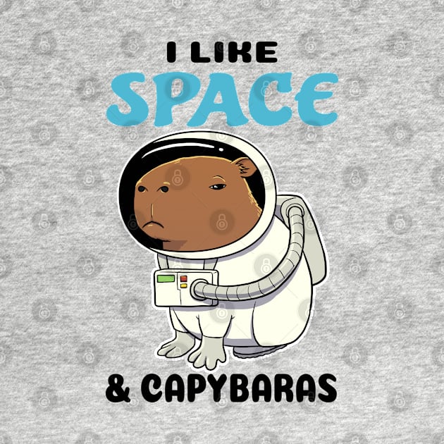 I Like Space and Capybaras by capydays